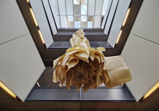 Philologische Bibliothek der Freien Universität Berlin, auch Berlin Brain genannt weil das Gebäude