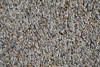 Sandboden, in dem Diamanten gefunden wurden, bei Pomona, Diamentensperrgebiet, bei Lüderitz, Region