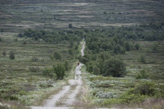 Pilger mit Rucksack auf dem historischen Kongsvegen oder Königsweg, der über das Fjell führt,