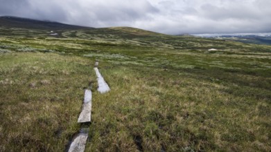 Schmaler Wanderweg durch Holzplanken befestigt führt durch sumpfige, im Hintergrund bergige