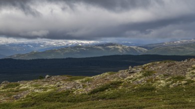 Weite, baumlose Gebirgslandschaft, tiefhängende Wolken, Olavsweg, Olavsleden oder Pilgrimsleden,