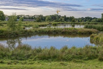 Landschaft und Gewässer im Naturschutzgebiet Die Reit im Hamburger Ortsteil Reitbrook, im