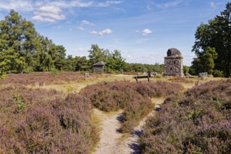 Landschaft am Hermann Löns Denkmal am Wietzer Berg in der Lüneburger Heide während der Heideblüte.