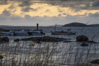 Small bay, archipelago, jetty with angler, Resö Island, Bohuslän, Skagerrak, Sotenäs, Västra