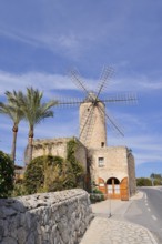 Windmill Moli d'en Pau, Sineu, Majorca, Balearic Islands, Spain