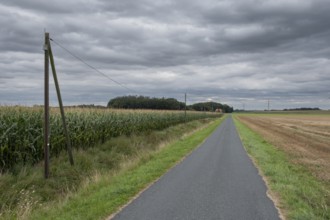 View along a road and a power cable lined by a corn field and harvested grain field to a detached