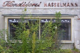 View of an overgrown shop window of an abandoned bakery, Barrien, Syke, Diepholz, Lower Saxony