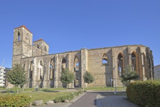 St Nikolai church ruins with twin towers, Zerbst, Fläming, Saxony-Anhalt, Germany
