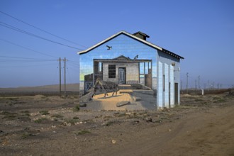 Painted house facade, graffito, brown hyena, diamonds, Oranjemund, Karas region, Namibia