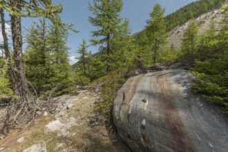 A massive boulder stands prominently amongst the vibrant green trees in a tranquil mountainous