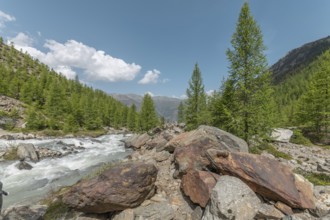 The clear river flows swiftly between rocks, lined with green conifers, under a blue sky with