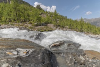 A rushing river cascades over smooth stones, surrounded by lush green trees and majestic mountains.