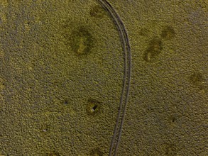 Lane, mosses, sunny, nature, fragile, environmental degradation, south-east Iceland, Iceland