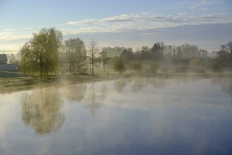 Morning atmosphere, fog at the Fischhof, Tirschenreuth, Upper Palatinate, Bavaria, Germany
