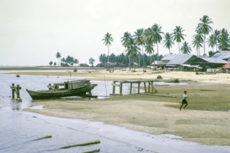 South shore of estuary, East coast, Rompin, Pahang, Malaya, Malaysia, south east Asia 1964