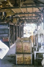 Siesta on the ice store ice at the fish market, East coast, Mersing, Johor, Malaya, Malaysia, south