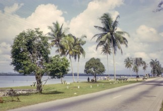 Thought to be road running along coast at Lido beach, Johor Bahru, Malaya, Malaysia, south east
