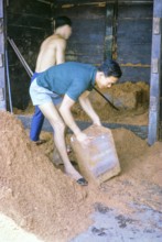 Unpacking ice stored in sand at fish market, East coast, Mersing, Johor, Malaya, Malaysia, south