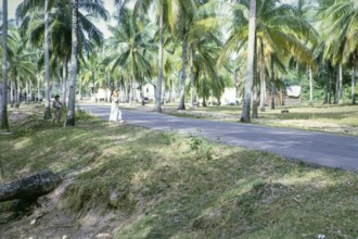 Village houses behind beach south of estuary, East coast, Rompin, Pahang, Malaya, Malaysia, south