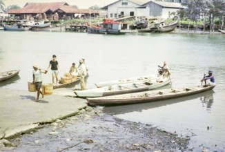 Canoes bringing fish to market, ice and fish packing factories, East coast, Mersing, Johor, Malaya,