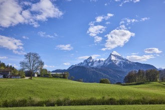 Mountain Watzmann, landscape photography, mountain landscape, mountains, meadow, coniferous forest,