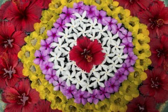 Flower decoration made of blossoms in a luxury resort, Klong Khong Beach, Sala Dan, Ko Lanta, Koh
