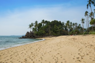 White sandy beach and coconut palms, Coconut Palm Beach, Sala Dan, Ko Lanta, Koh Lanta, Krabi