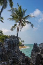 Rocks and coconut palms, Coconut Palm Beach, Sala Dan, Ko Lanta, Koh Lanta, Krabi Province,