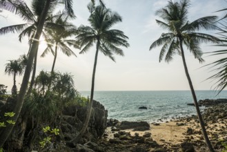 Sandy beach beach and coconut palms, Tricky-Trocky Beach, Sala Dan, Ko Lanta, Koh Lanta, Krabi