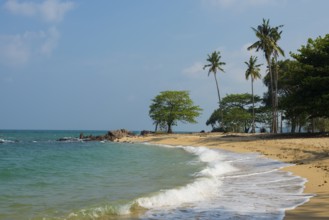 Sandy beach beach and coconut palms, Secret Beach, Sala Dan, Ko Lanta, Koh Lanta, Krabi Province,