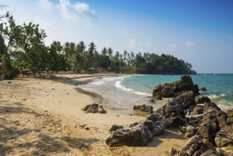 Sandy beach beach and coconut palms, Beautiful Beach, Sala Dan, Ko Lanta, Koh Lanta, Krabi