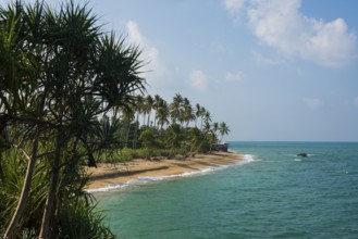 Sandy beach beach and coconut palms, Coconut Palm Beach, Sala Dan, Ko Lanta, Koh Lanta, Krabi