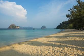 White sandy beach and coconut palms, Sunrise Beach, Koh Great white shark, Ko Ngai, Krabi Province,
