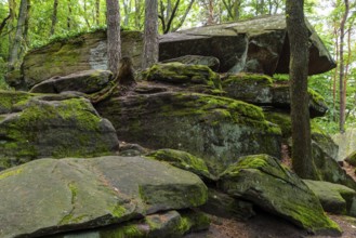 Boulders in the forest, red sandstone, sea of rocks, Kalmit, Maikammer, Pfläzerwald,