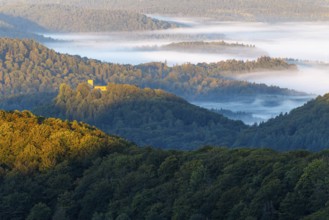 View over the Palatinate Forest, mixed forest, dawn, fog, Luipoldsturm, Hermansbergdorf,