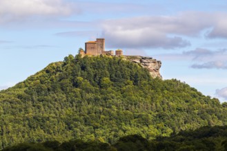 Brug Trifels, Annweiler, mixed forest, sandstone rock, Pfläzerwald, Rhineland-Palatinate, Germany