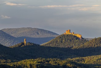 View of Trifels Castle and Anebos Castle, mixed forest, Annweiler, Pfläzerwald,
