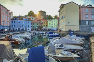 Mandracchio di Muggia in Muggia, Friuli-Venezia Giulia, Italy