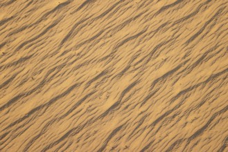 Patterns in the sand of the Namib Desert. Namibia