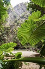 Sandy beach beach with cave in the rainforest, Emerald Cave, Koh Mook, Trang Province, Southern