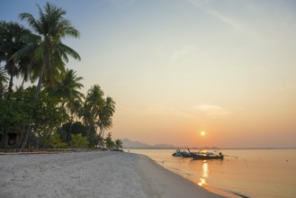 White sandy beach and coconut palms, sunset, Pearl Beach, Koh Mook, Trang Province, Southern