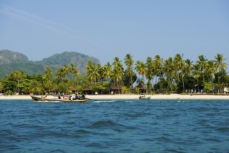 White sandy beach and coconut palms, Pearl Beach, Koh Mook, Trang Province, Southern Thailand,