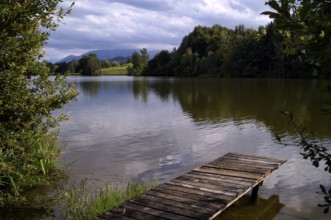 Bathing jetty, jetty, wooden jetty, jetty, leads into a lake, bathing lake, Schwaltenweiher near