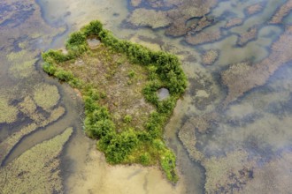 Aerial view, islands in the Drau, river, Brenndorf bird sanctuary, Carinthia, Austria