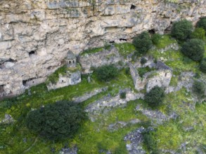 Ancient ruins amidst green vegetation on a rock face, aerial view, Horomayr Monastery, Odsun,