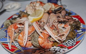 Seafood platter, Tréguier, Département Côtes-d'Armor, Brittany, France