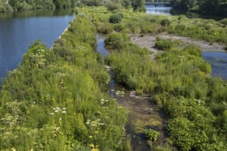 Saarn-Mendener Ruhraue, nature reserve, Mülheim an der Ruhr, Rurgebiet, North Rhine-Westphalia,
