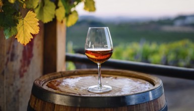 Glass of 10-year-old tawny wine placed on a barrel in a vineyard restaurant, AI generated