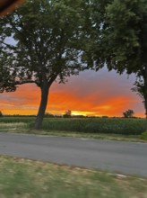 Sunset over the Vosges in Alsace, photographed from a moving car, Freiburg Baden-Württemberg,