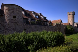 Historic city wall, defence defence tower, old town, Obernai, also Oberehnheim, Bas-Rhin,